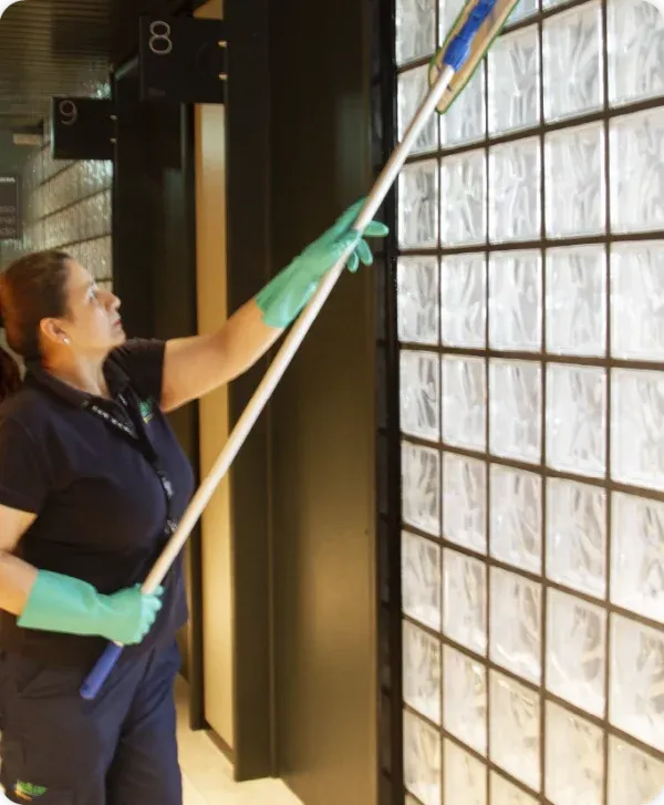 Empresa familiar Wilef